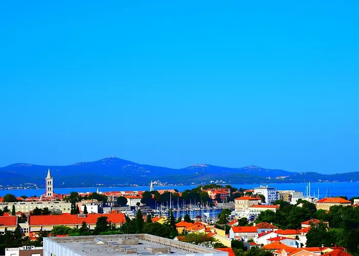 Tammy * Zadar